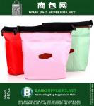 Térmica cooler Duplas Almoço Waterproof Carry sacola Bolsa de armazenamento do saco do piquenique